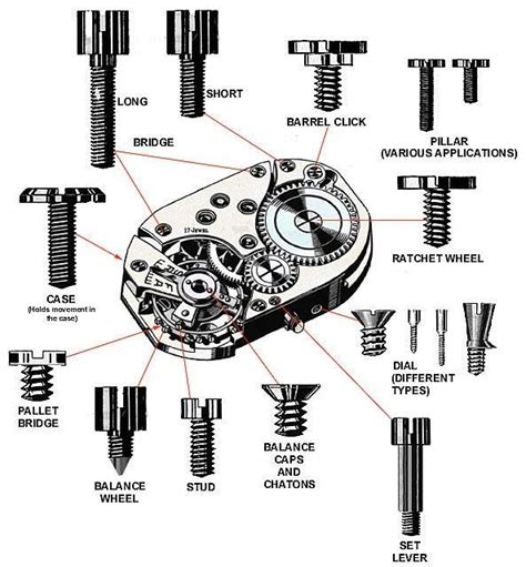 fossil watch screws